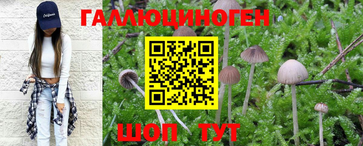 Россия  Галлюциногенные грибы GOLDEN TEACHER  Вход с VPN 